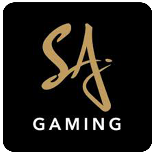 百家樂SA沙龍介紹：17娛樂城的最佳選擇